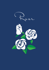 white and blue roses