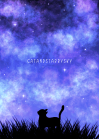 CATANDSTARRYSKY -PURPLE-