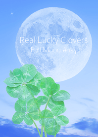 Real Lucky Clovers Full Moon #1-4