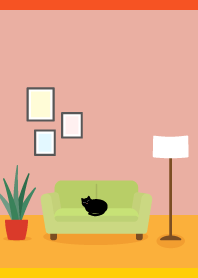 Cat on the sofa on R&Y