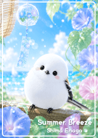 blue Summer Breeze Shima Enaga