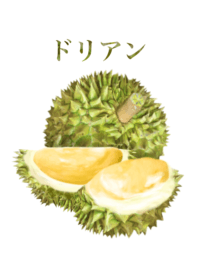 榴蓮　25