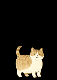 Cats are soothing05 on black