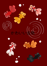 我養的泡泡眼金魚(酒紅色)