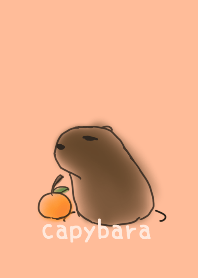 capybara - warm your heart