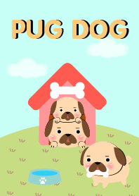 ปั๊กน้อยน่ารัก