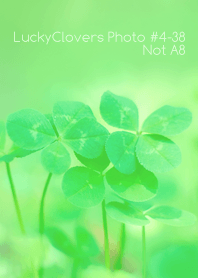 LuckyClovers Photo#4-38Not AI
