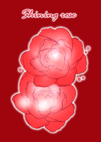 煌めく薔薇
