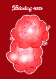 Shining rose