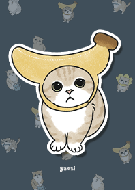 neko combo3 / indigo