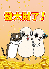 吉娃娃是很棒的寵物狗 3-發大財了喇