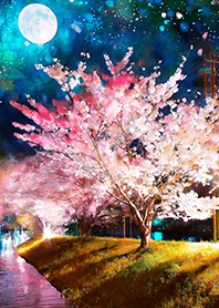 Beautiful night cherry blossoms#1168