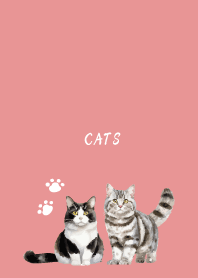Talking Cats on light pink
