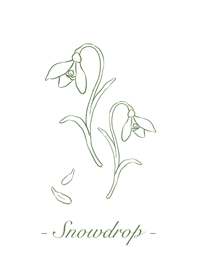 Snowdrop Ver1(white)