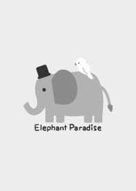 Elephant Paradise