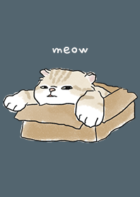 neko drawing4 - dark steel blue