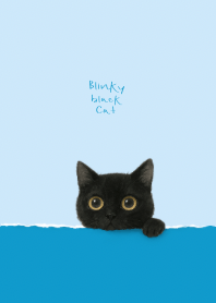 Blinky Black Cat (Blue 2)