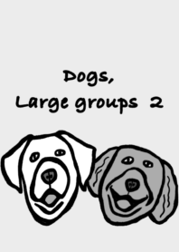 Dogs, large groups 2.