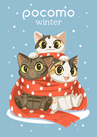 pocomo winter 2021