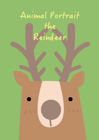 Animal Portrait - Reindeer