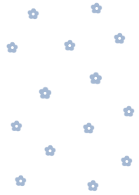 flower pattern(JP)white blue