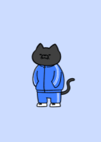 Jersey black cat 07.