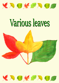 Various leaves