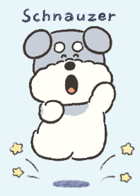 もふもふシュナウザー