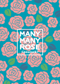 MANY MANY ROSE <peacock>