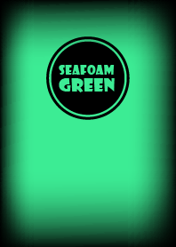 Seafoam Green And Black Ver.6