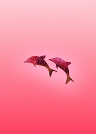 Dolphin's Red Silhouette