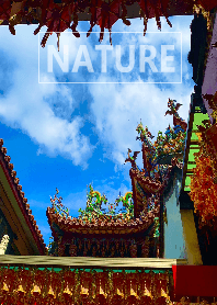 The nature32