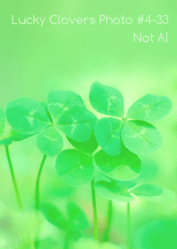 Lucky Clovers Photo#4-33Not AI