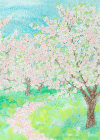 Cherry Blossom Trend! Vol.6