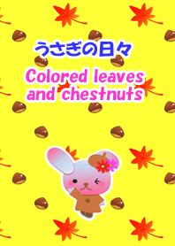 Rabbit daily(Colored leaves)