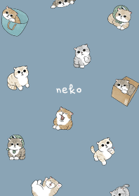 neko combo5 / pale denim