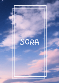 SORA vol.254