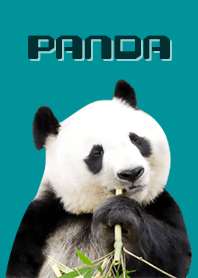 PANDA -Cute Panda-