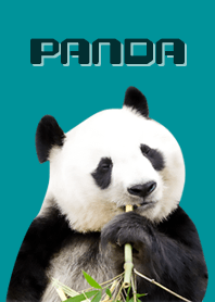 PANDA かわいいパンダ