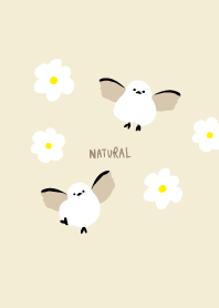 Long-tailed tit White anemone29 Japan