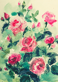 Beautiful rose flower(R4052)