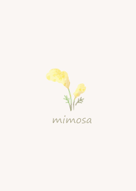 Fluffy mimosa Theme simple