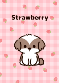 Strawberry and Shih Tzu.