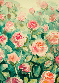 Beautiful rose flower(R4250)