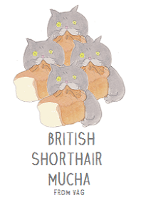 ブリショのムチャ