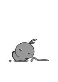 rabbit staring-45