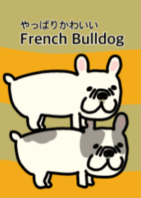 やっぱりかわいい！frenchbulldog