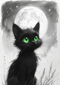 Black cat under the starry sky E2e60f
