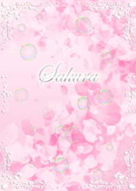 さくら -Cherry Blossoms-