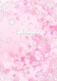 Sakura - Cherry Blossoms -